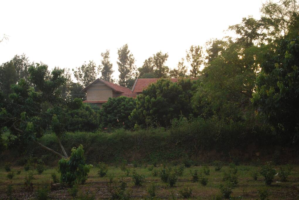 Distant view