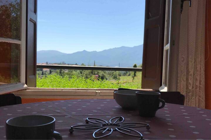 L'eucalyptus, joli petit appartement lumineux