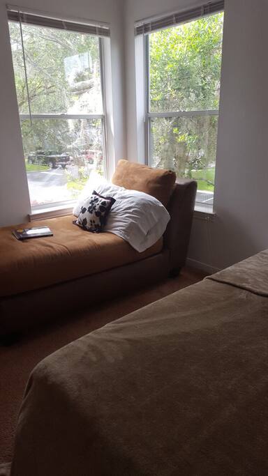 Room's view.