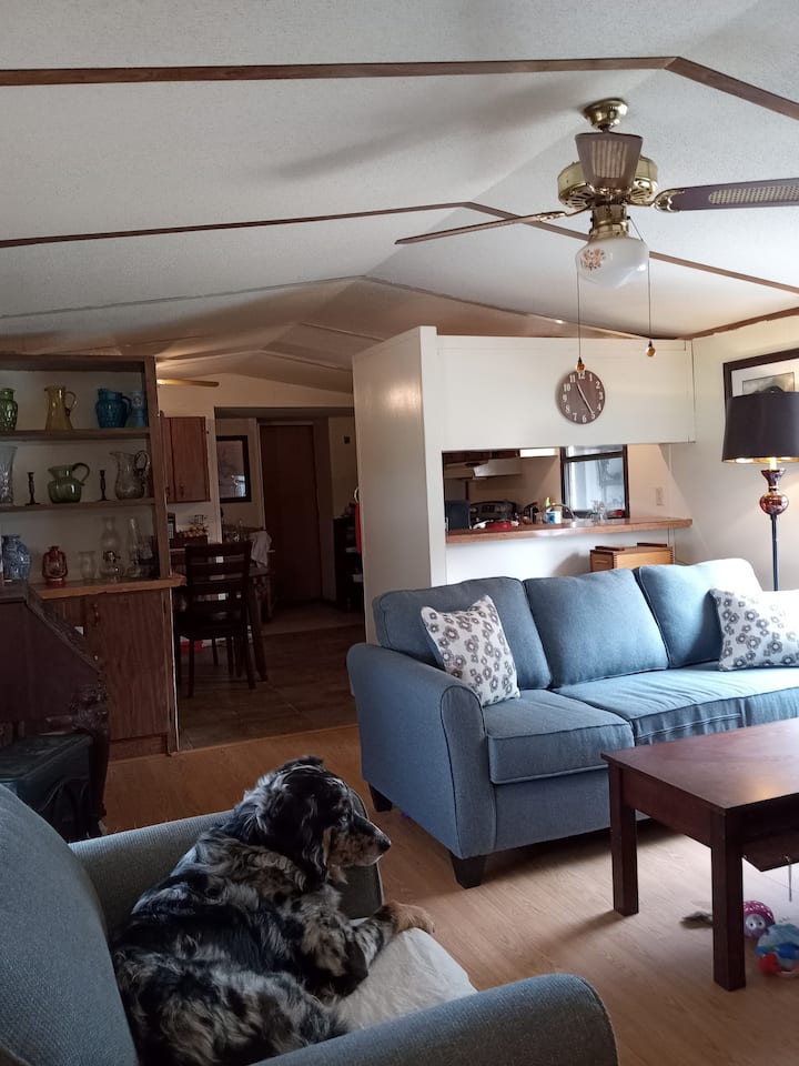 غرفة المعيشة