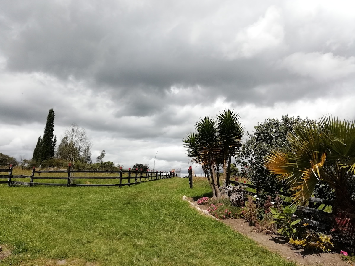 A scenic view features a pathway leading through lush greenery, flanked by a wooden fence. Diverse plants and trees are visible on either side, while a cloudy sky adds depth to the landscape. The tranquil environment suggests a peaceful outdoor experience.