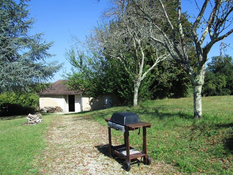 The garden