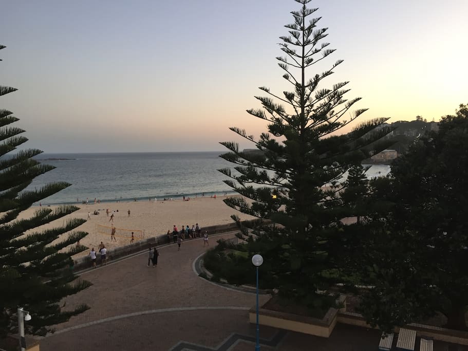 Coogee Beach