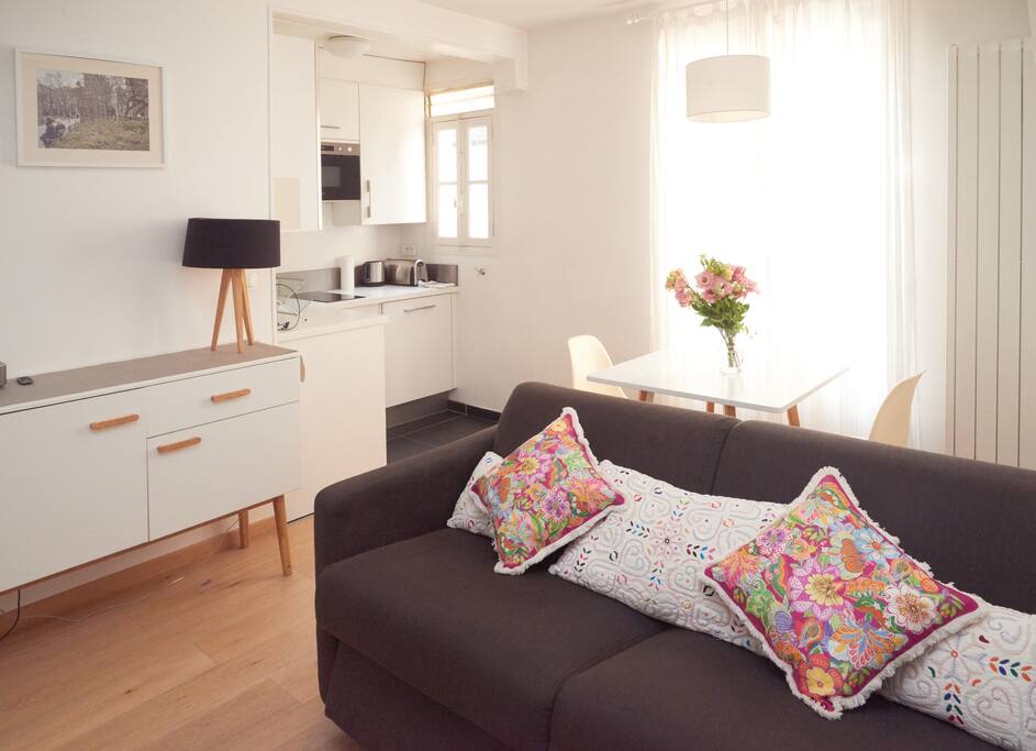 Living room + sofa bed