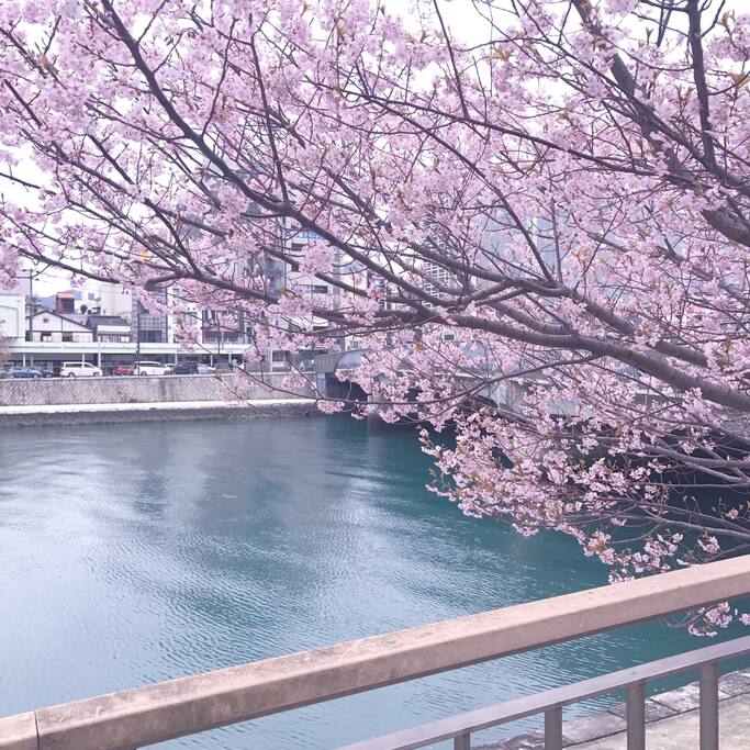 浪漫的北九州之旅 福冈旅游攻略 尽在airbnb爱彼迎 浪漫的北九州之旅 福冈旅游攻略 尽在airbnb爱彼迎