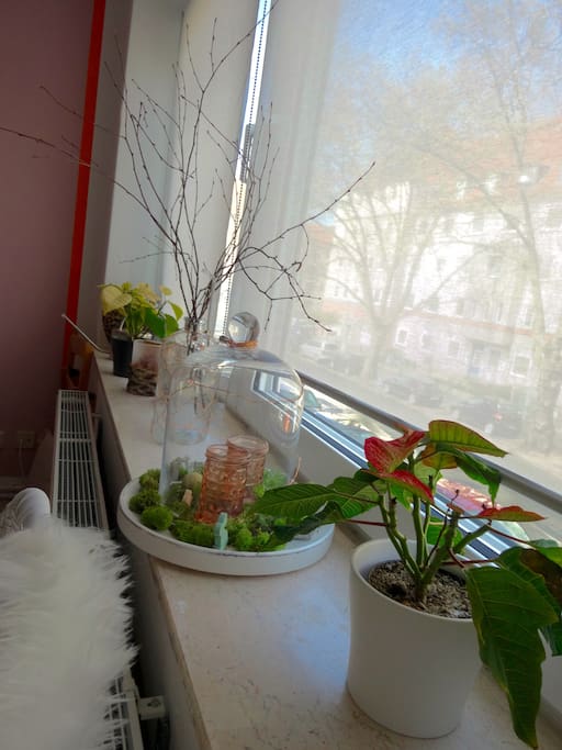 Fensterbank Wohnzimmer