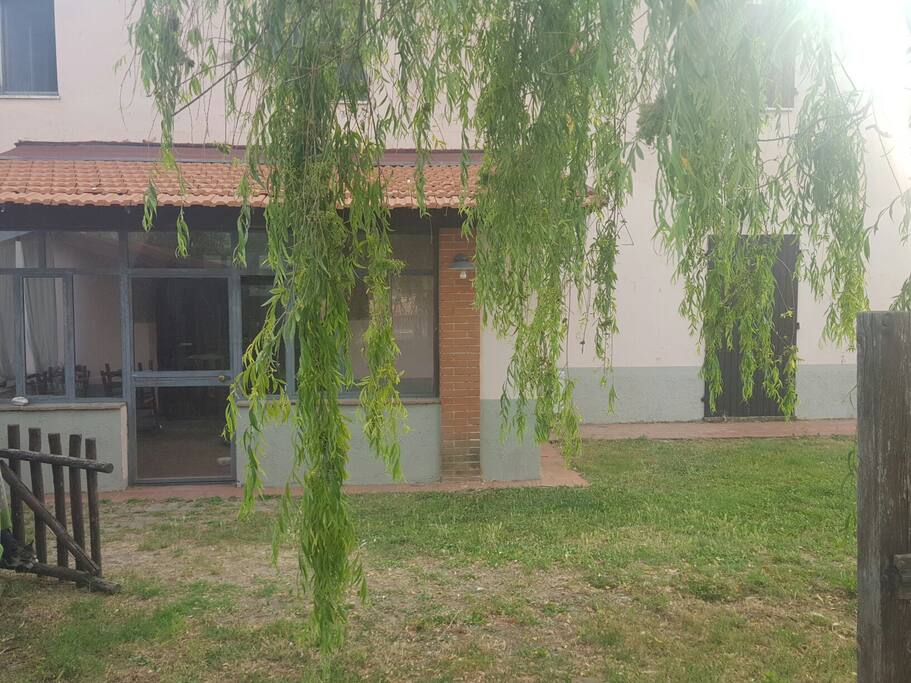 ingresso