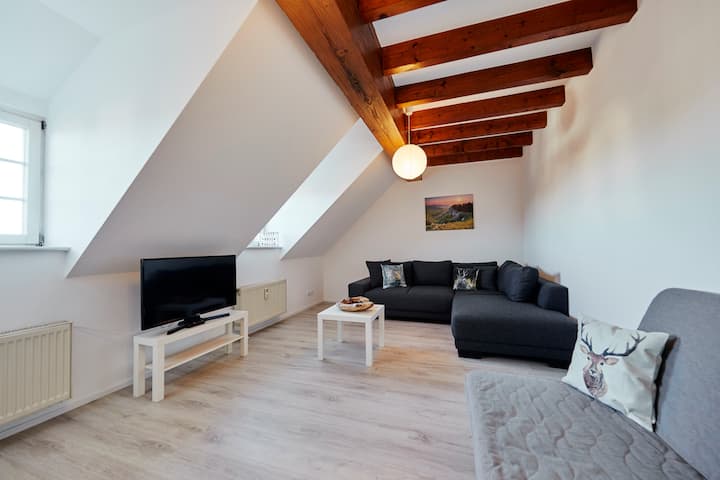 Large dream apartment☆ for up to 12 people,☆ only 10 minutes from Europa-Park★★★