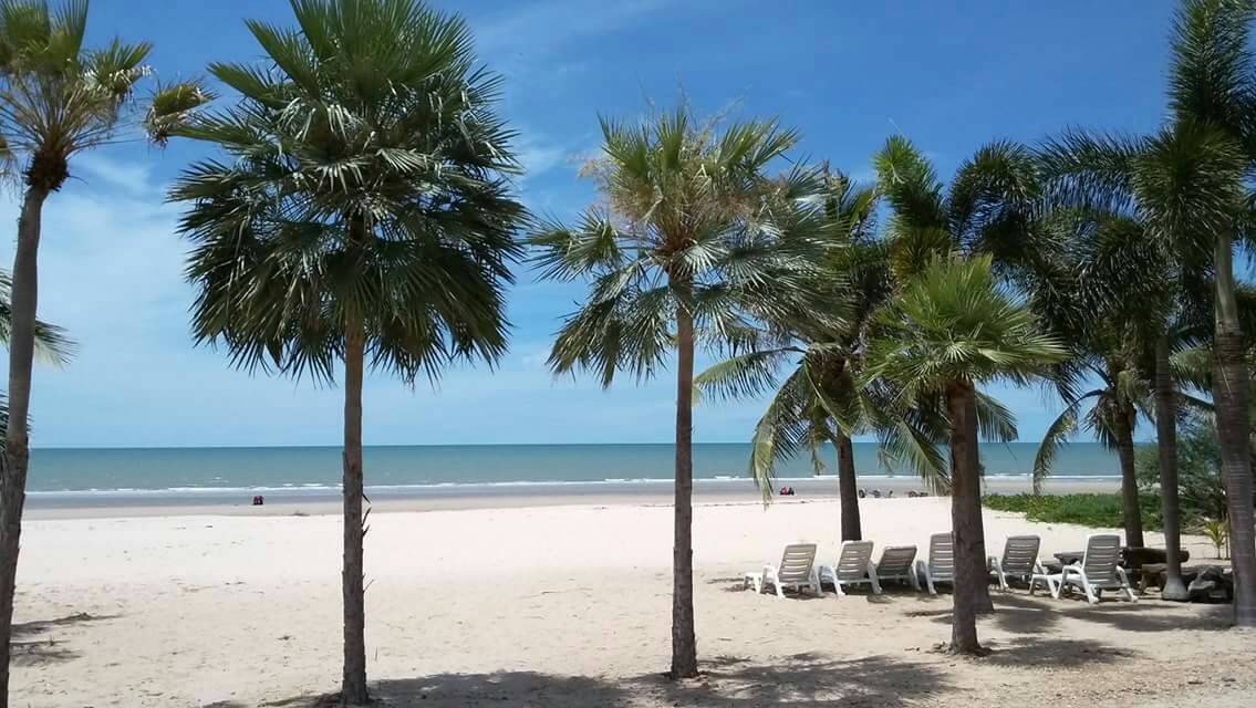 Palm trees frame a sandy beach with a tranquil sea in the background. Sun loungers are arranged neatly along the shore, inviting relaxation. The gentle waves and clear sky contribute to a serene coastal environment.