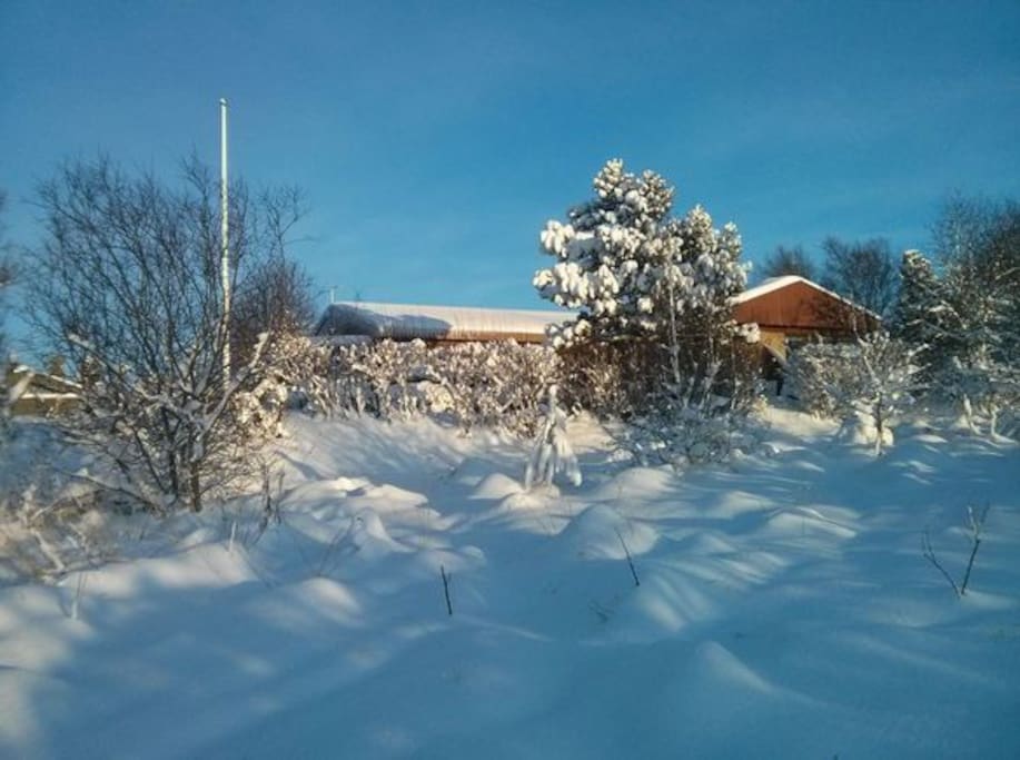The house - winter