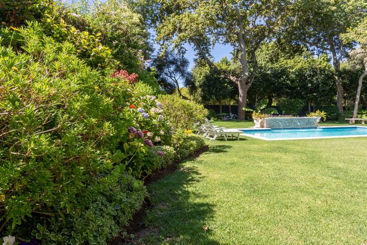 Little House Guest House gallery image 2