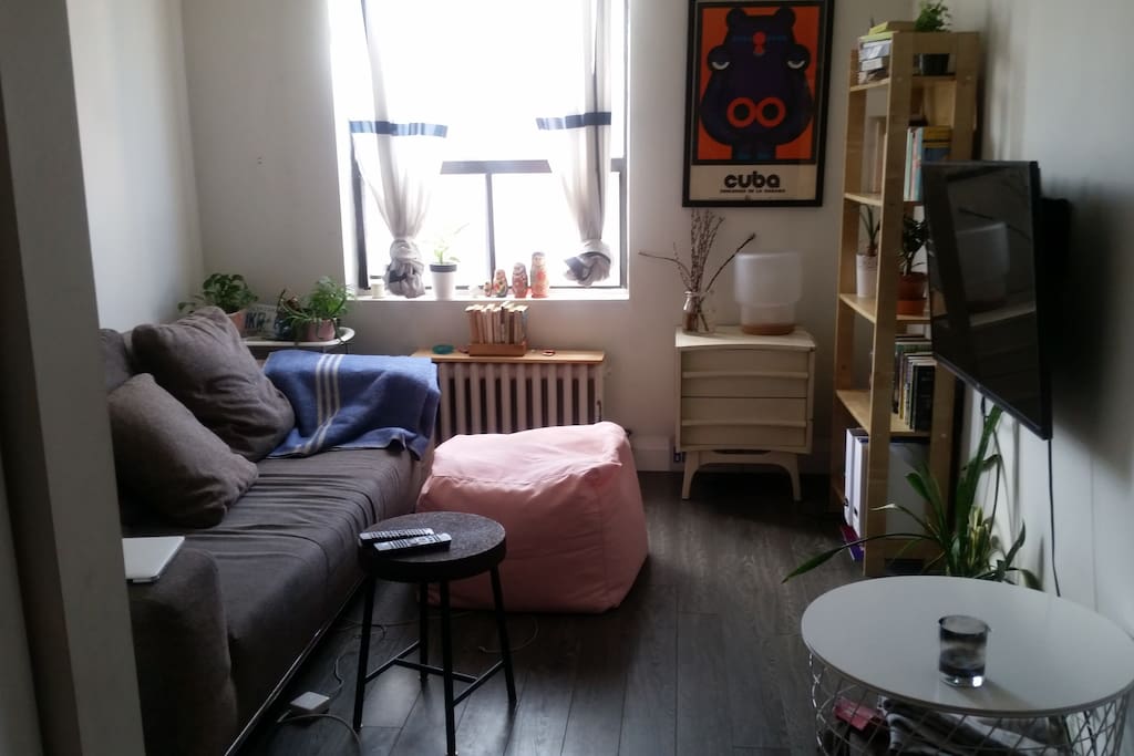 Lots of nice light, comfy seats, plants and books in the living room.