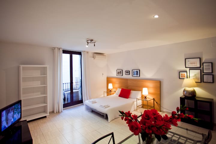 Very spacious apartment in the center