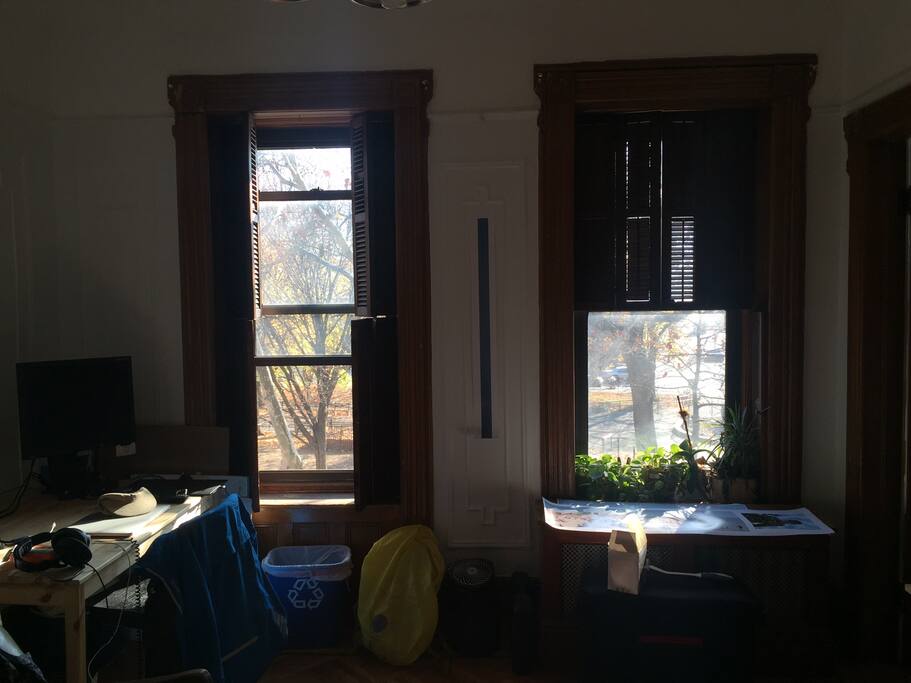 WINDOWS!