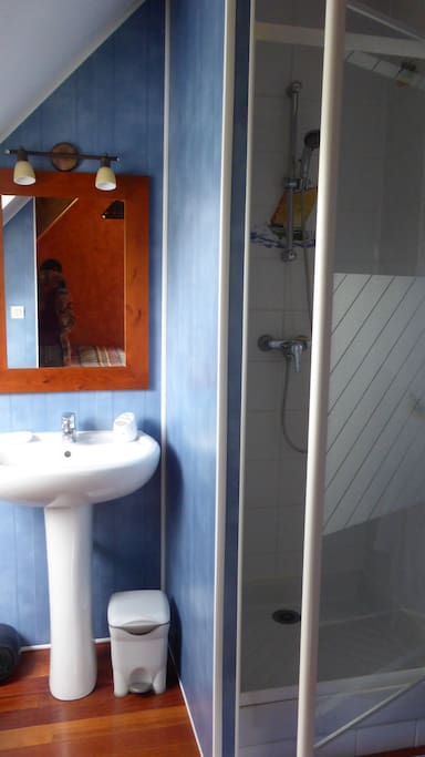 Salle de douche de la chambre 1