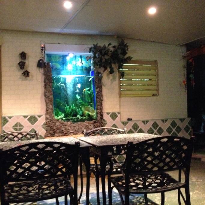 Terraza "La Tilapia Alumbrada"
