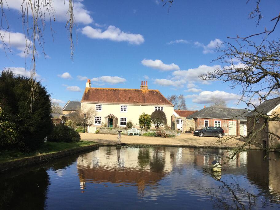 Hobbs from the duckpond