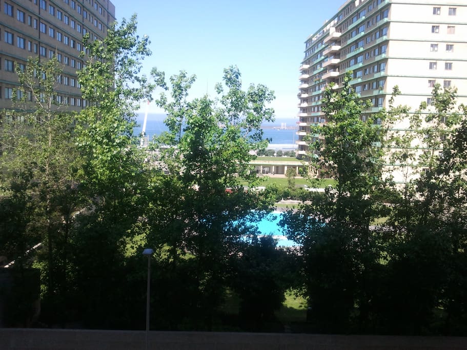 Living Room views (summer)