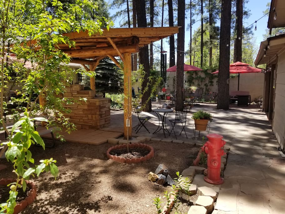 Welcome to our oasis