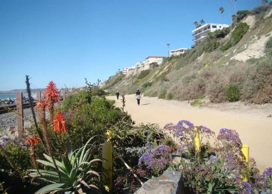 Beautiful Trail!