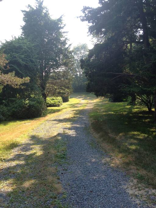 Driveway