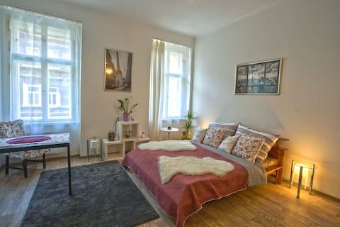 Prague Private Apartment  Non Stop 24/7
