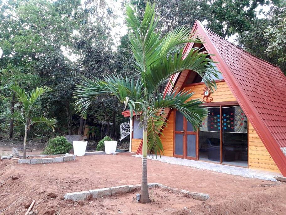 Newly completed villa and garden