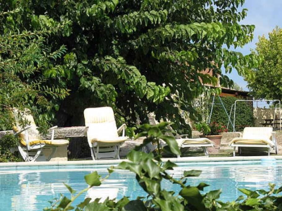un bassin d'eau vivifiante pour résister à la chaleur du moi d'aout en Provence