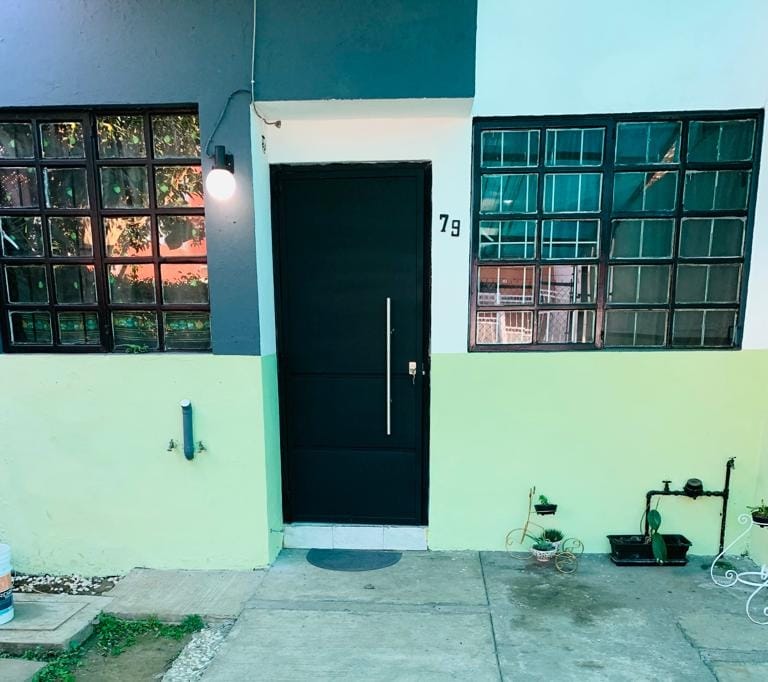 The exterior entrance features a modern black door with a sleek handle, flanked by large windows with grid patterns. A light fixture hangs above, illuminating the entryway. The wall is painted in a two-tone design of gray and light green.