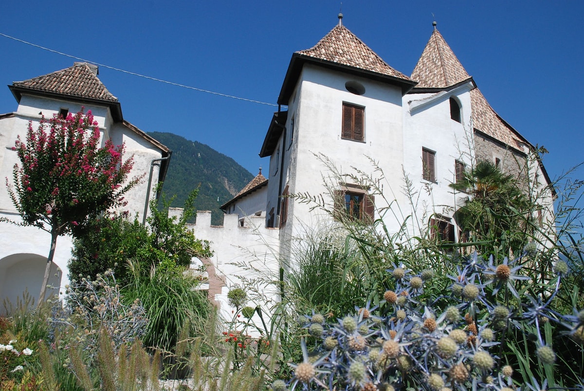 San Giovanni di Fassa Pet Friendly Rentals Trentino South Tyrol