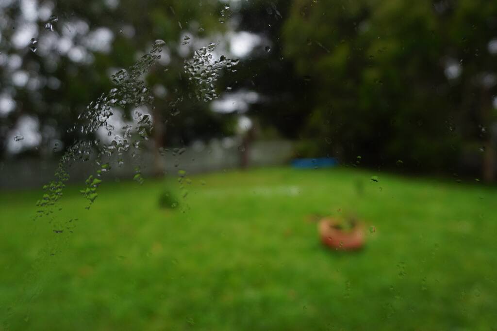 View from the room: front yard