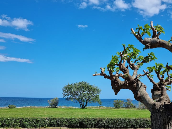 Villa Les Pieds Dans L Eau - Córsega