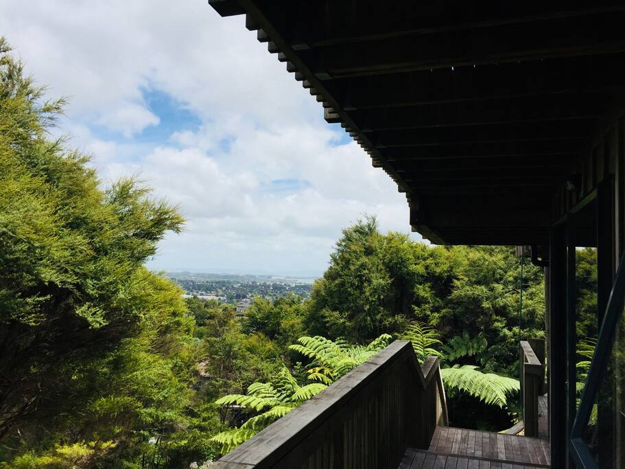 Beautiful native bush views from the front door.