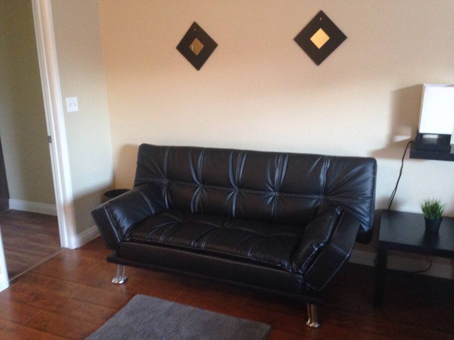 Leather convertible sofa sleeper.