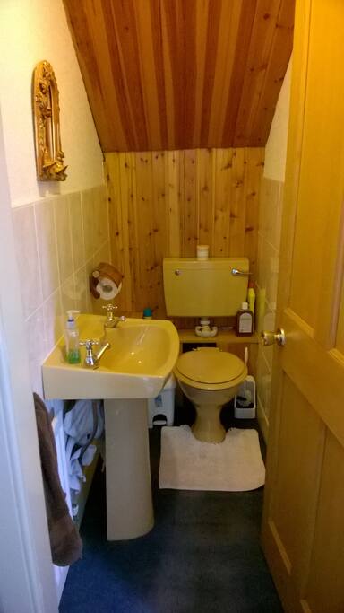 Toilet with wash hand basin