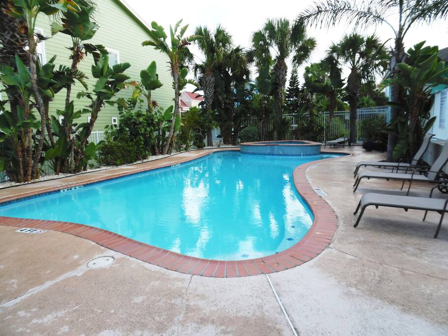 Tropical setting for the shared pool and spa.
