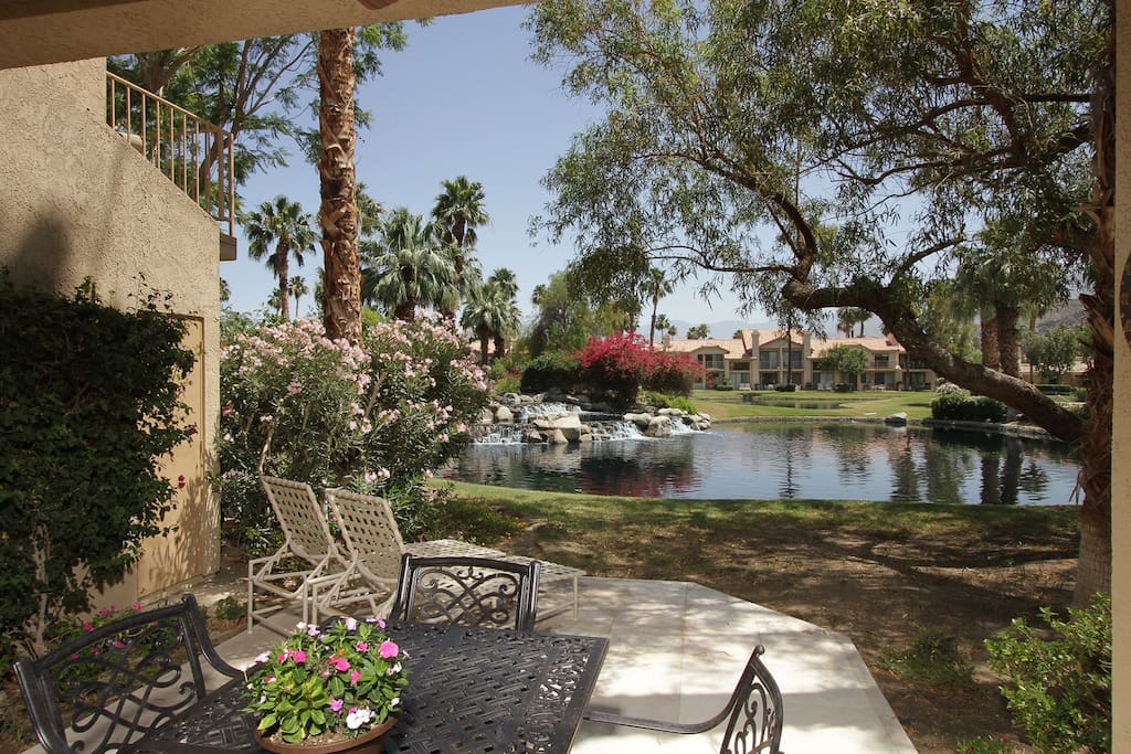 Beautiful backyard setting