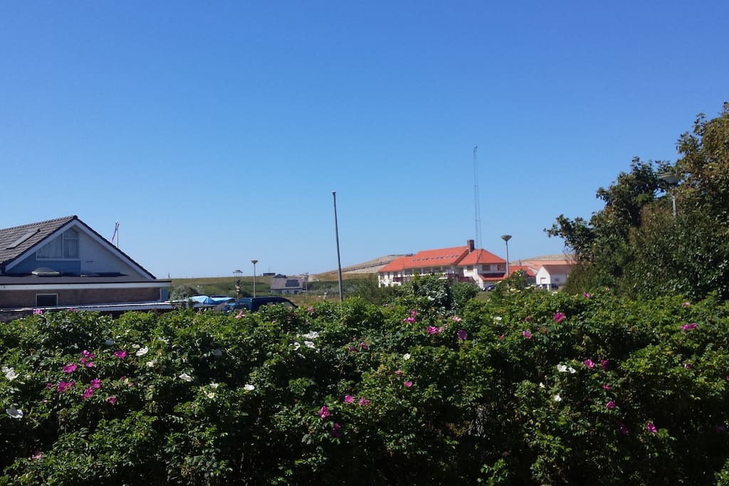De vakantiewoning is zeer dichtbij de kust gelocaliseerd.