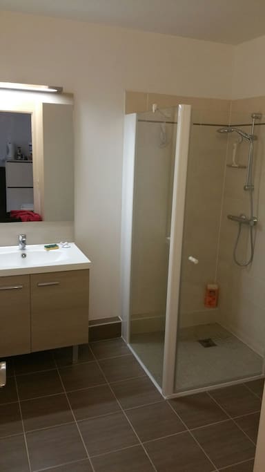 Salle de bain cosy avec Douche à l'italienne et robinet thermostatique