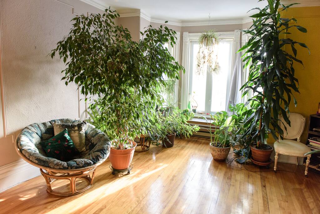 bedroom's bay windows