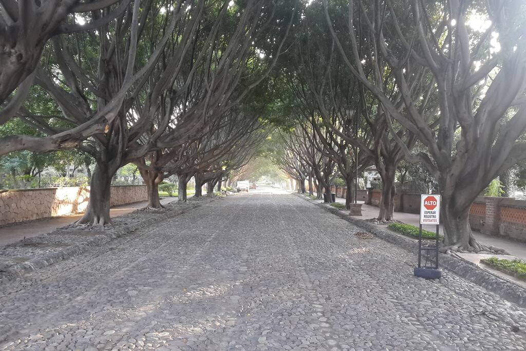 Entrada al fraccionamiento cerrado