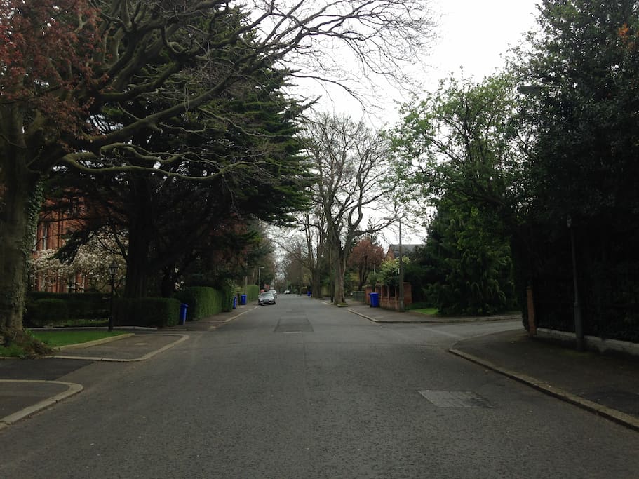 The quiet avenue where our apartment is situated