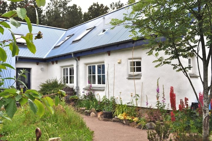 Strawbale House, Findhorn Rm 1 of 2