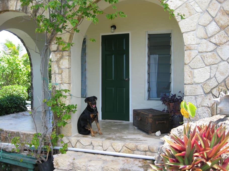 One of our family members to greet you!