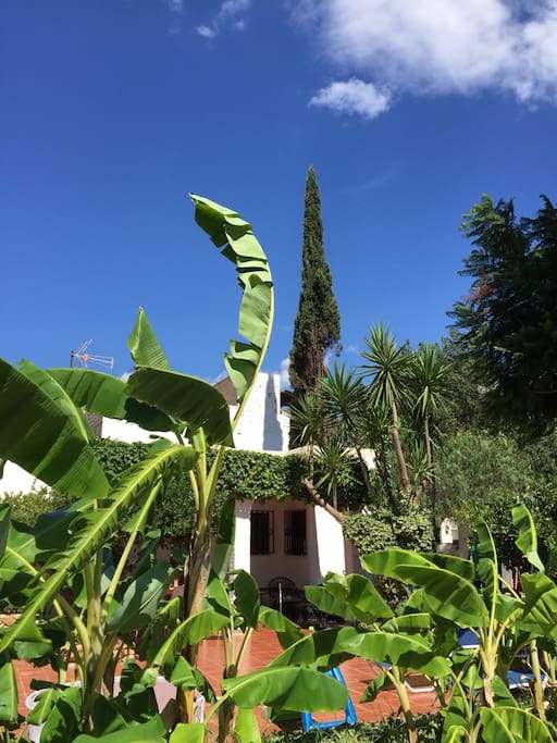 Desde la terraza