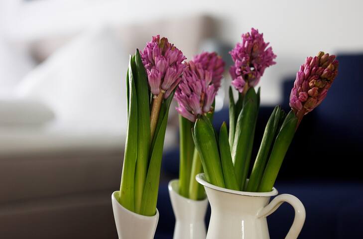 BLISS by Rockchair | large & cozy 5SZ 3Bth 3balkon gallery image 4