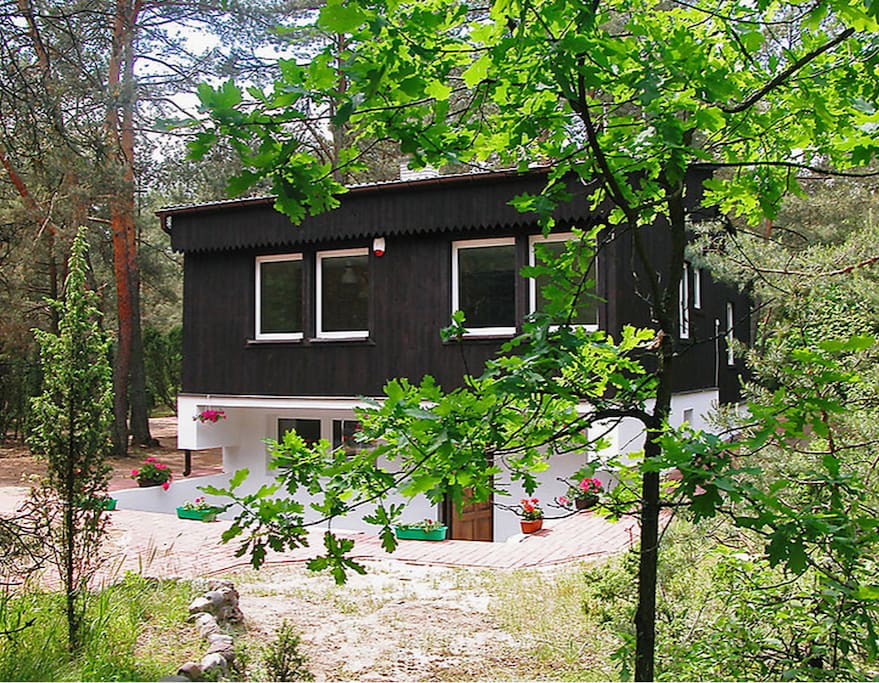 Front of house (the pool is at the back)