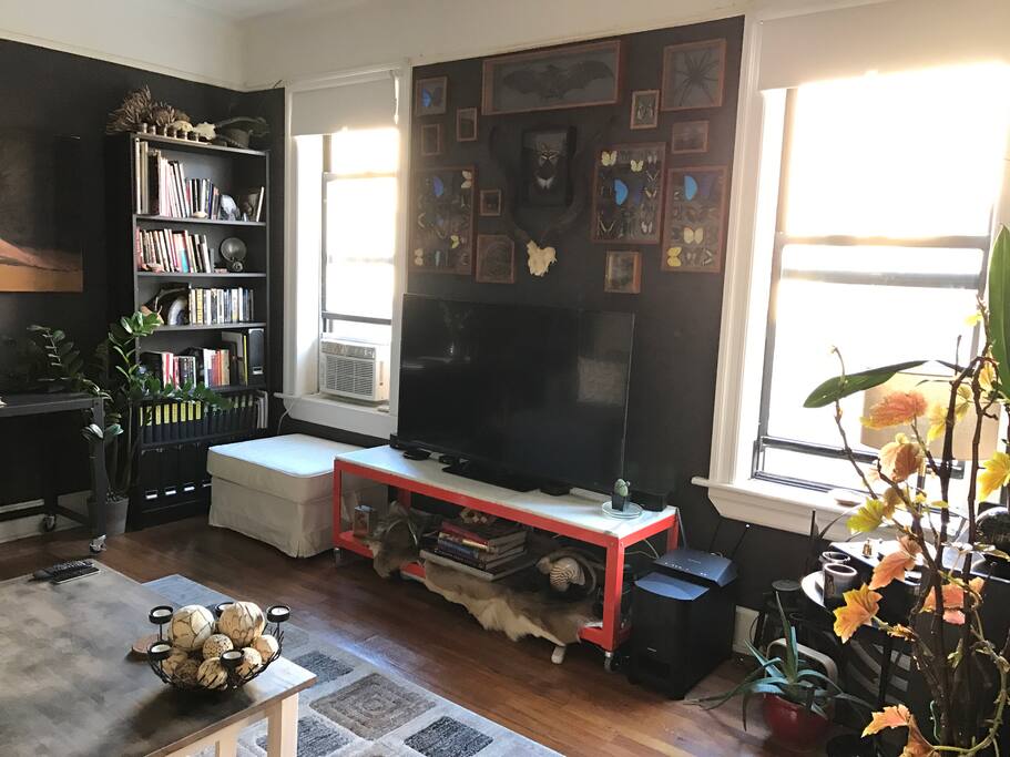 Two windows giving tons of natural light as well as a 55 inch TV to stream Netflix or Hulu.