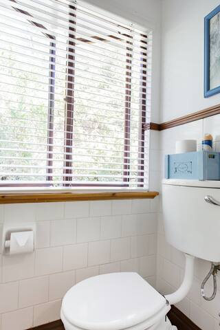 Art-Filled Beach House with Sweeping Ocean Views gallery image 4