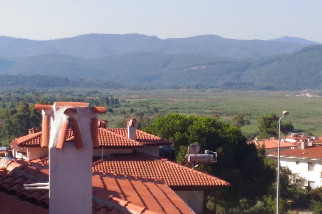View from balcony